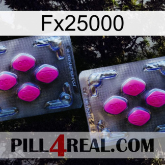 Fx25000 01